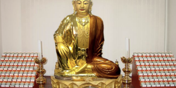 문수굴 소식 31 - 옷을 벗은 문수사의 겨울나무