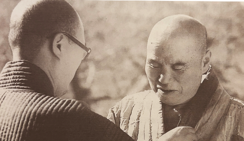 성철스님 시봉이야기 6 - 화두 삼서근 . 니 고만 중되라